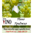 Вино белое "Пино Гриджио" сухое 