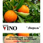 Пунш Fructel ‘s " Апероль"