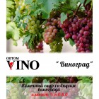 Пунш Fructel ‘s " Виноград"