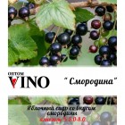 Пунш Fructel ‘s " Смородина"