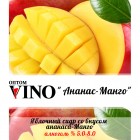 Пунш Fructel ‘s " Ананас-Манго"