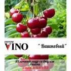 Пунш Fructel ‘s " Вишневый"